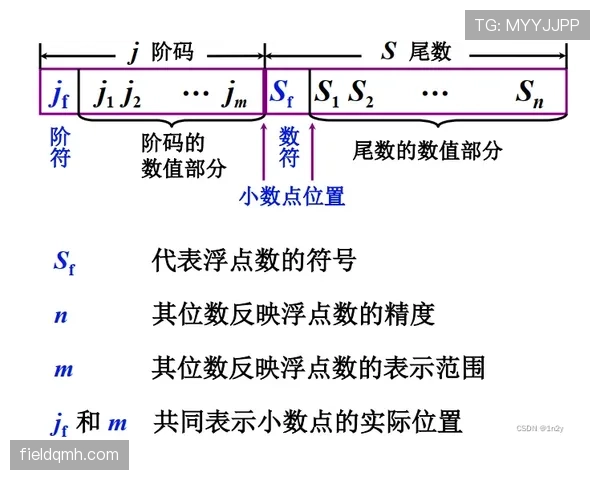 防守犯规判定规则及常见误区解析